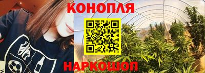спиды Гусев