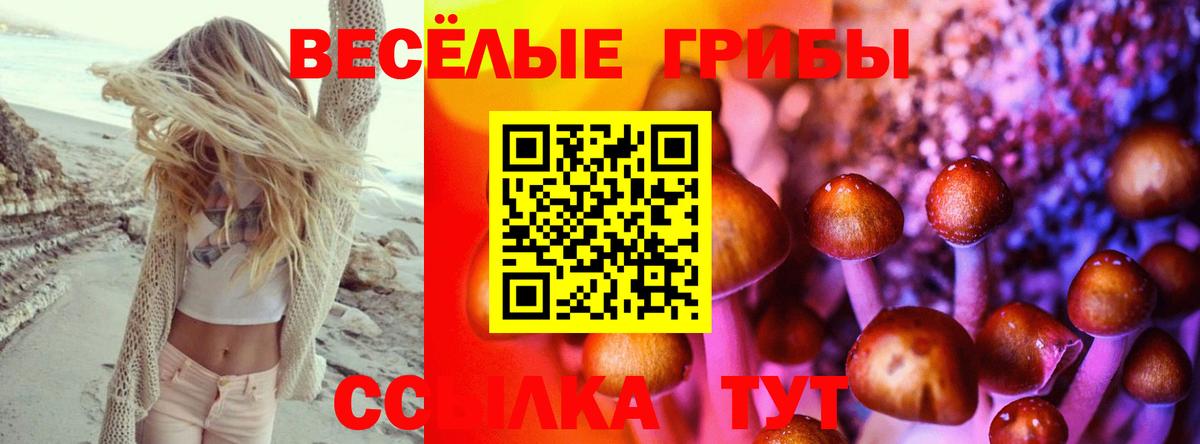 Псилоцибиновые грибы прущие грибы Надым
